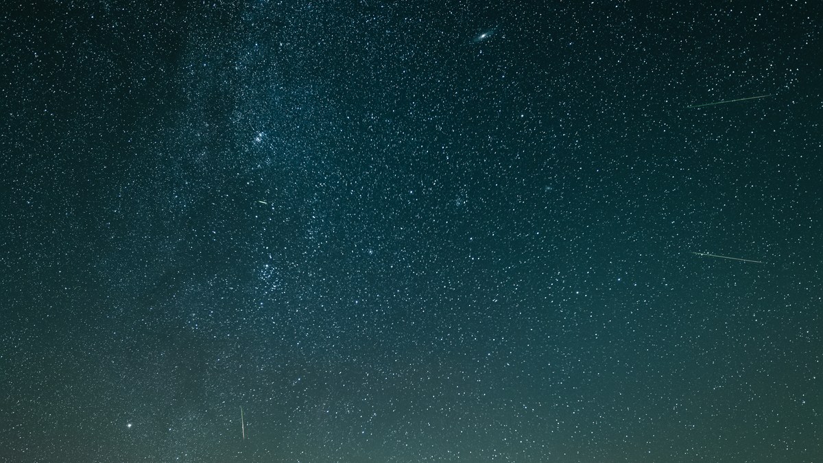 Le ciel étoilé au-dessus de la ligne d'arbres, à la table d'orientation de Moyémont, nuit des Perséides