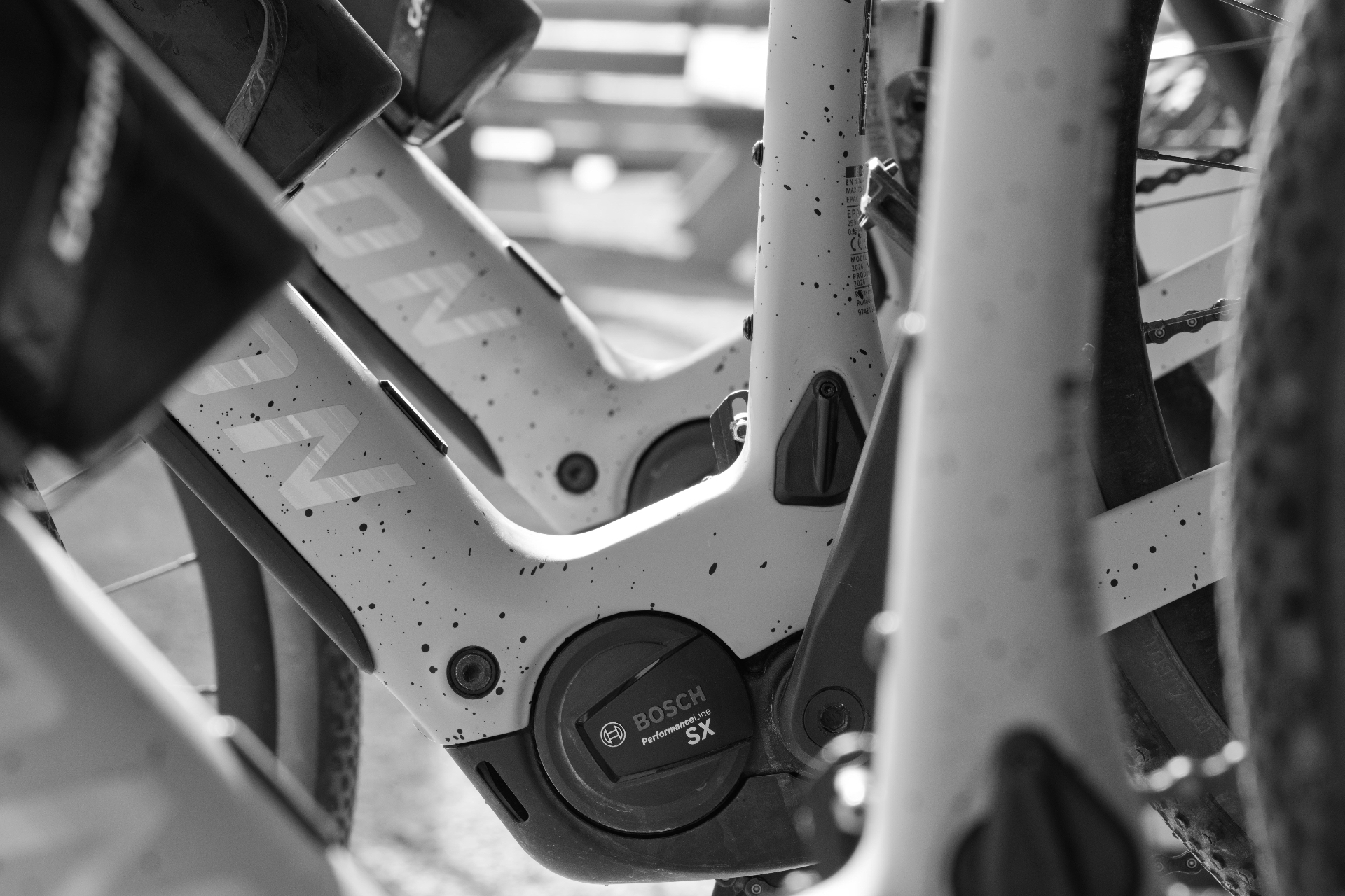 Bike preparation at the Gruissan Outdoor base, black and white
