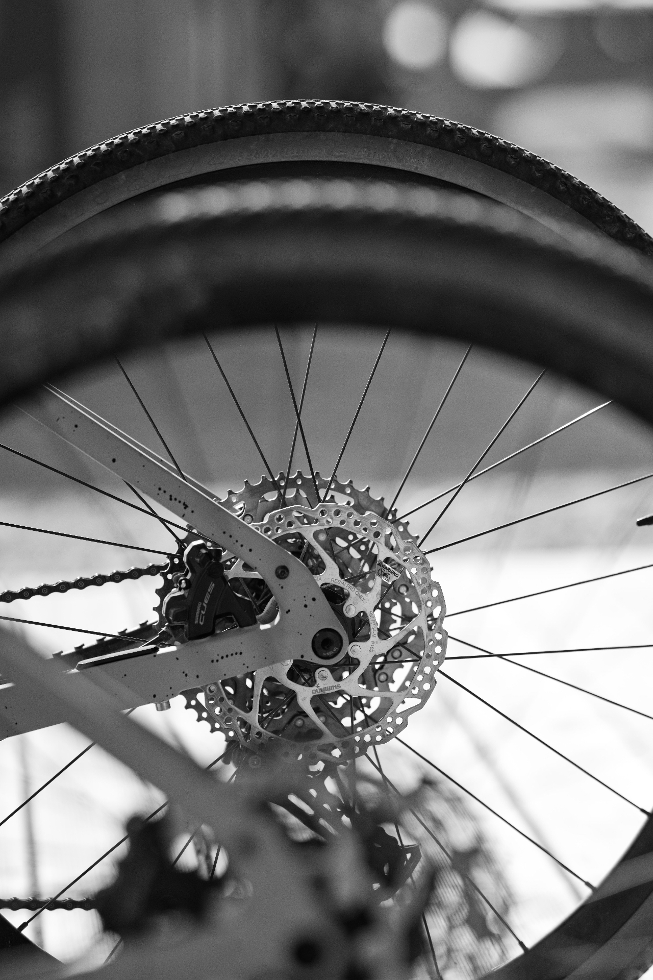 Cyclist riding the Gruissan lagoon trails, black and white